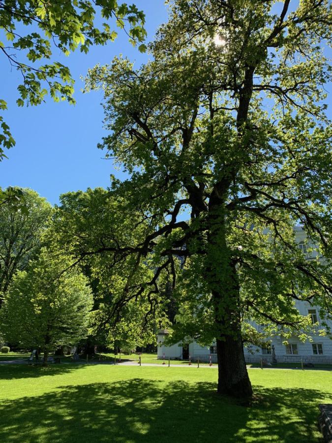 Schlosspark Grubhof - Mitterer Sankt Martin bei Lofer Buitenkant foto