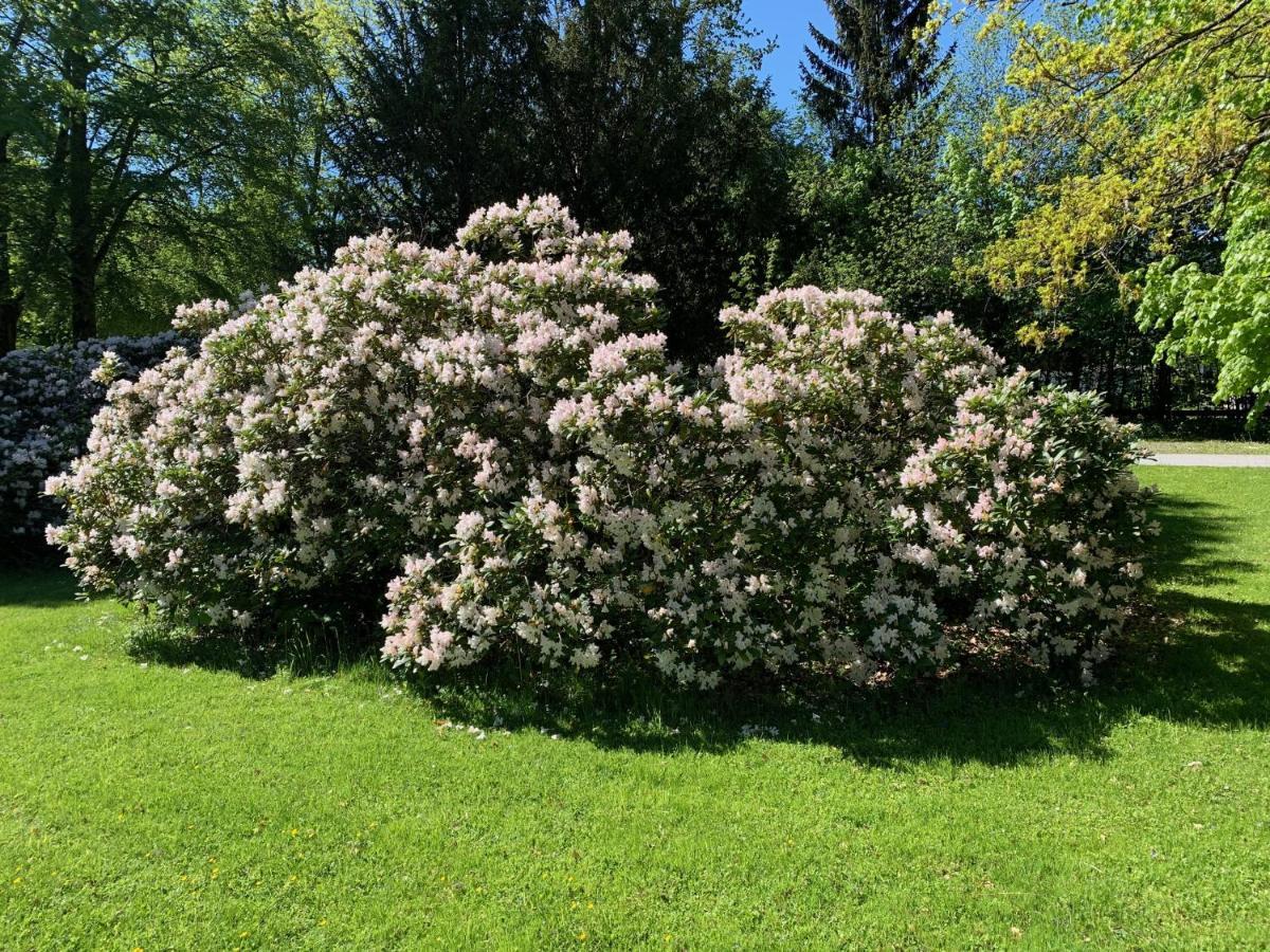 Schlosspark Grubhof - Mitterer Sankt Martin bei Lofer Buitenkant foto